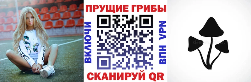 мега как зайти  Баксан  Галлюциногенные грибы прущие грибы 